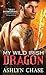 My Wild Irish Dragon (Boston Dragons Book 2) by Ashlyn Chase