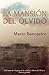 La mansión del olvido by Mario Bencastro