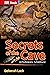 Secrets of the Cave