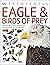 Eagle Birds of Prey