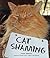 Cat Shaming