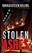 Stolen Ashes (The Newberry Crime Case Files #5)