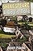 Shakespeare: A Boy's Tale
