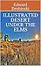Illustrated Desert Under th...