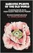 Narcotic Plants of the Old World, Used in Rituals & Everyday Life: An Anthology of Texts from Ancient Times to the Present
