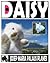 Daisy [eng]