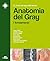 Anatomia del Gray: I fondamenti (Italian Edition)