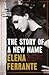 The Story of a New Name by Elena Ferrante