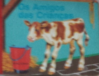 Os Amigos das Crianças (Hardcover)