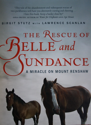 The Rescue of Belle and Sundance: A Miracle on Mount Renshaw