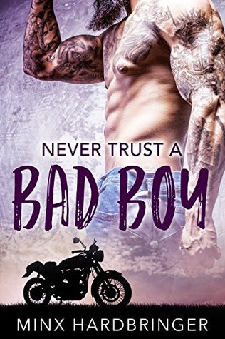 Never Trust a Bad Boy (Kindle Edition)