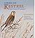 American Kestrel: Pint-Sized Predator