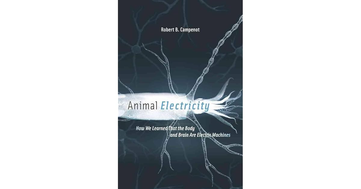 Animal Electricity How We Learned That the Body and Brain Are Electric