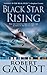 Black Star Rising by Robert Gandt