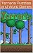Terraria: Puzzles and Word Games (terraria book, terraria umofficial guide, terraria Book 1)