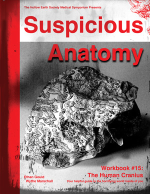 Suspicious Anatomy (Paperback)