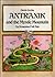Antranik and the Mystic Mou...