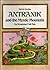 Antranik and the Mystic Mountain - An Armenian Folk Tale by Devis Grebu