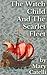 The Witch-Child and the Scarlet Fleet by Mary Catelli