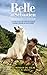 Belle et Sébastien - novélisation - Tome 2 - L'aventure continue (French Edition)