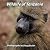 Wildlife of Tanzania by Doug  Butler