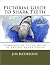Pictorial Guide to Shark Te...