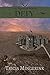 Defy (The Blades of Acktar,...