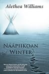 Naapiikoan Winter