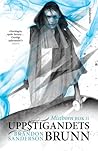 Uppstigandets brunn, del 1 by Brandon Sanderson