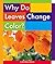 Why Do Leaves Change Color? (Everyday Earth Science)