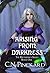 Arising from Darkness (Riftrider Returns #1)