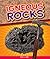 Igneous Rocks (Geology Rocks!)
