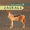 Jackals (Wild Canines) Jackals (Wild Canines)