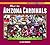 Meet the Arizona Cardinals (Big Picture Sports)