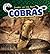 Cobras (Snakes on the Hunt)