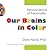 Our Brains in Color