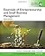 Essentials of Entrepreneurship and Small Business Management by Norman M. Scarborough Essentials of Entrepreneurship and Small Business Management by Norman M. Scarborough