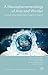 A Neurophenomenology of Awe and Wonder: Towards a Non-Reductionist Cognitive Science (New Directions in Philosophy and Cognitive Science)