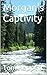 Morgan's Captivity by Tom Reppert