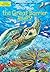 Where Is the Great Barrier Reef?