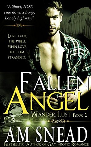 Fallen Angel (Wander Lust, #1)