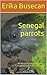 Senegal parrots: All About ...