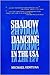 Shadow Dancing in the U.S.A. by Michael Ventura