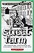 The Revolutionary Urbanism of Street Farm: eco-anarchism, architecture and alternative technology in the 1970's