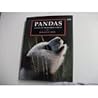Pandas: Giants of the Bamboo Forest