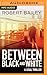 Between Black and White (McMurtrie and Drake Legal Thrillers, #2)