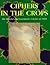 Ciphers in the Crops by Beth Davis