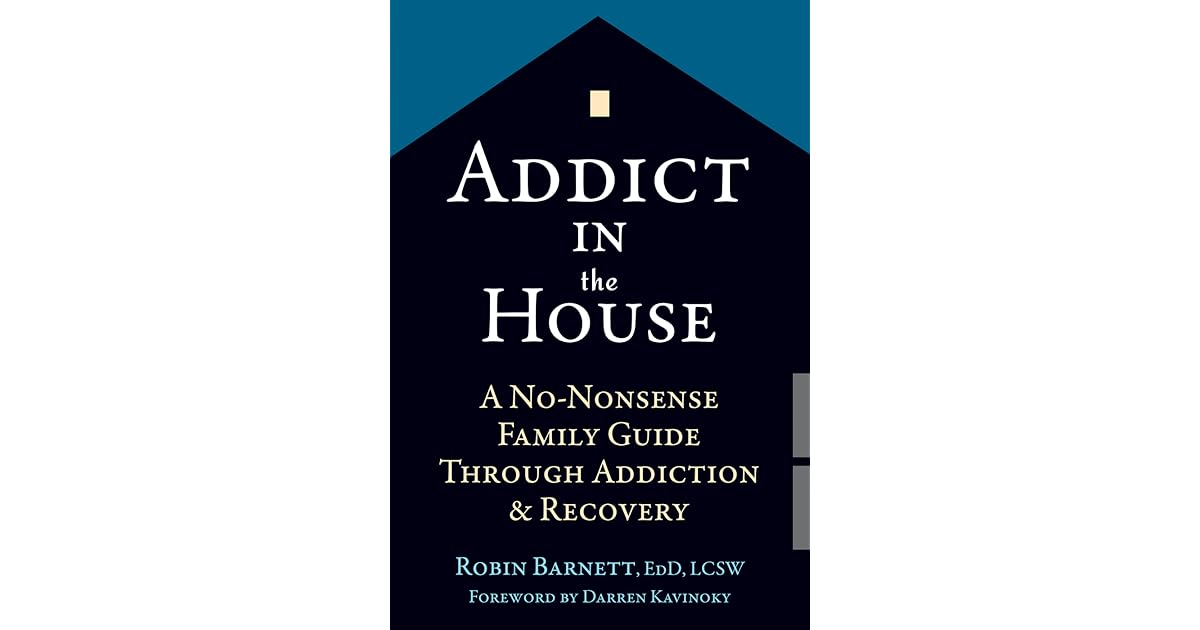 Addict in the House A NoNonsense Family Guide Through Addiction and