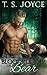 Bloodrunner Bear (Harper's ...