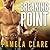 Breaking Point (I-Team, #5)